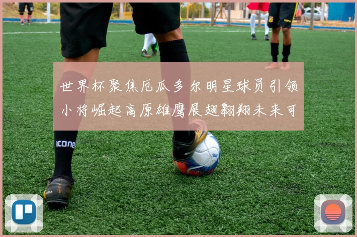 世界杯聚焦厄瓜多尔明星球员引领小将崛起高原雄鹰展翅翱翔未来可期